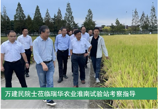 萬建民院士蒞臨瑞華農業(yè)淮南試驗站考察指導